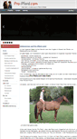Mobile Screenshot of pro-pferd.com